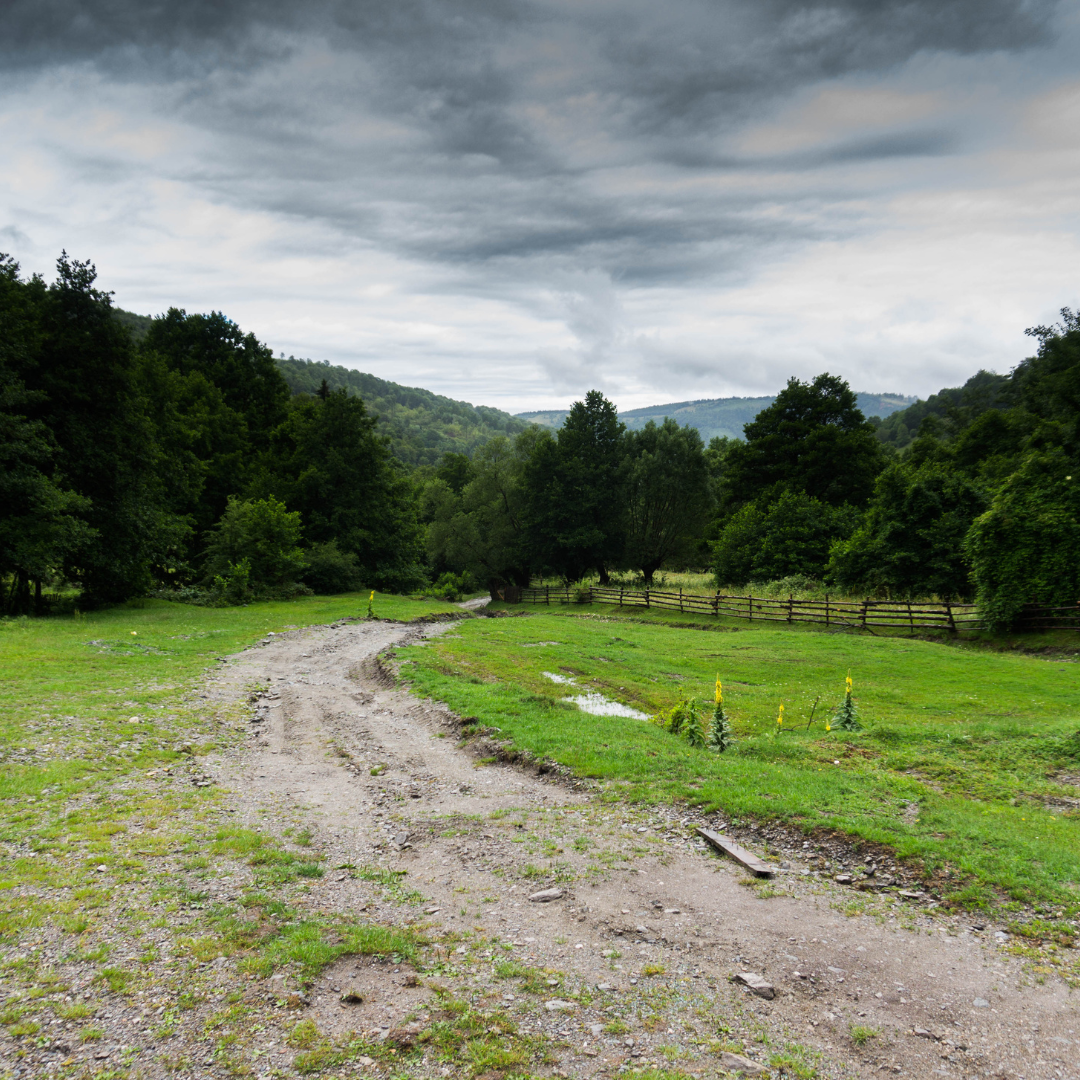 National Rural Crime Network statement on the early release of PC Andrew Harper’s killers