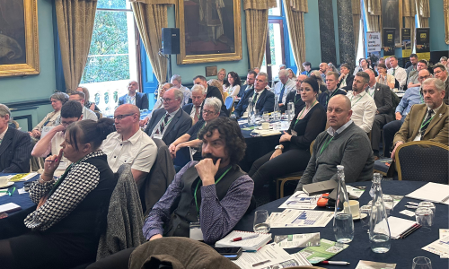 NRCN Email Design Stuff (3)