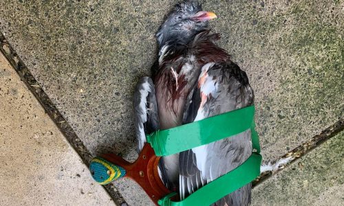 Website-header-1920-x-1200-px-1